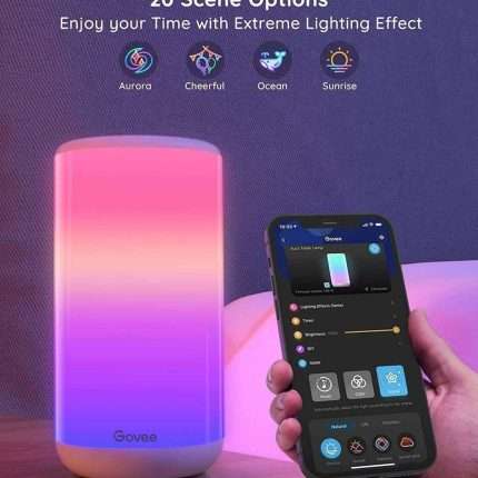 Govee Aura