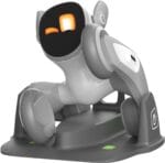 Loona robot inteligente