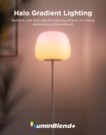 Lámpara de Pie Inteligente Govee Lantern RGBIC con Matter, WiFi, Alexa, Google Assistant y 100+ Modos de Escena - Imagen 3
